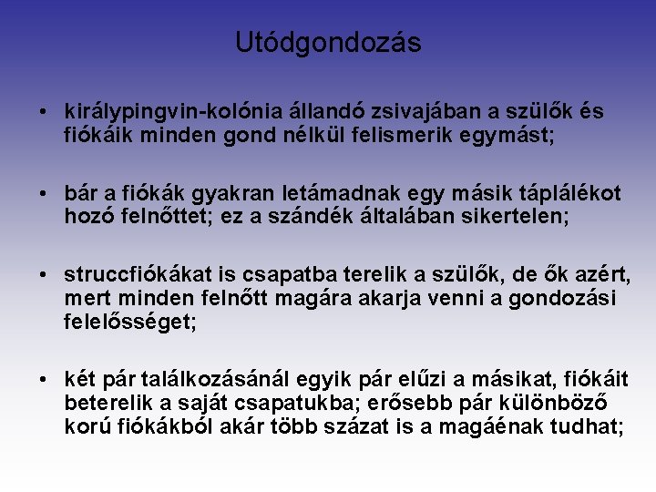 Utódgondozás • királypingvin-kolónia állandó zsivajában a szülők és fiókáik minden gond nélkül felismerik egymást;