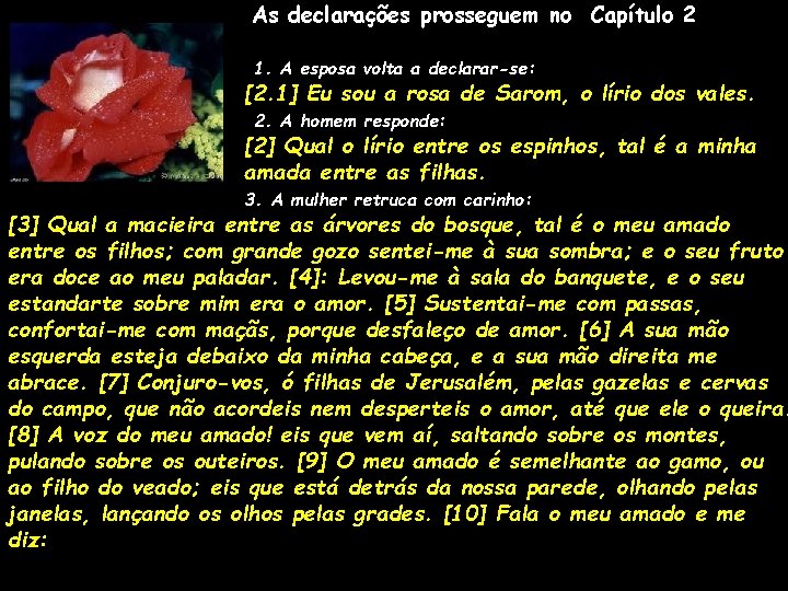 As declarações prosseguem no Capítulo 2 1. A esposa volta a declarar-se: [2. 1]