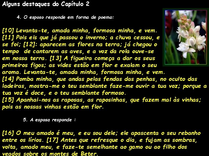 Alguns destaques do Capítulo 2 444 4. O esposo responde em forma de poema: