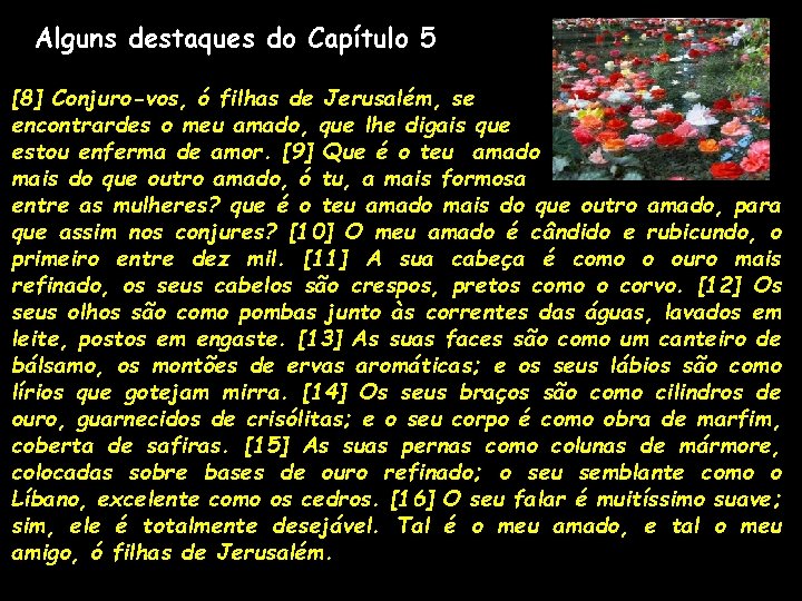 Alguns destaques do Capítulo 5 [8] Conjuro-vos, ó filhas de Jerusalém, se encontrardes o