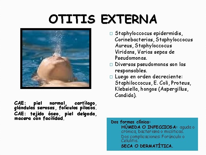 OTITIS EXTERNA � � � CAE: piel normal, cartílago, glándulas serosas, folículos pilosos. CAE: