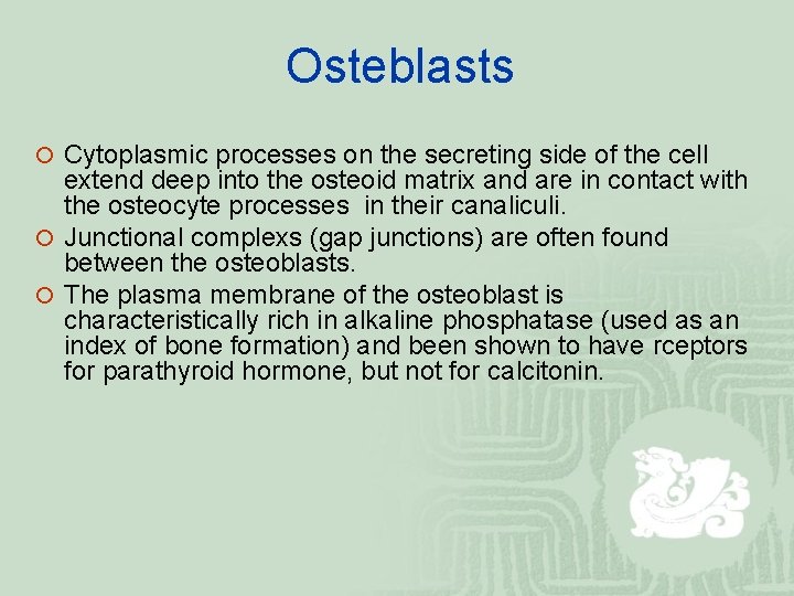 Osteblasts ¡ Cytoplasmic processes on the secreting side of the cell extend deep into