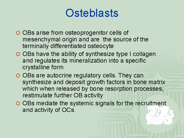 Osteblasts ¡ OBs arise from osteoprogenitor cells of mesenchymal origin and are the source