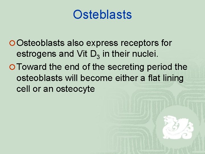 Osteblasts ¡ Osteoblasts also express receptors for estrogens and Vit D 3 in their