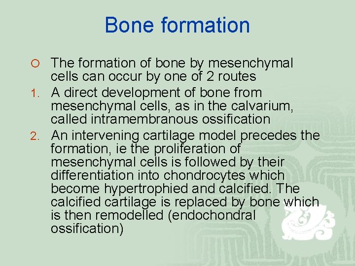 Bone formation ¡ The formation of bone by mesenchymal cells can occur by one