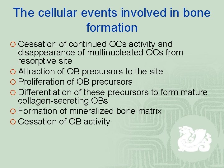 The cellular events involved in bone formation ¡ Cessation of continued OCs activity and