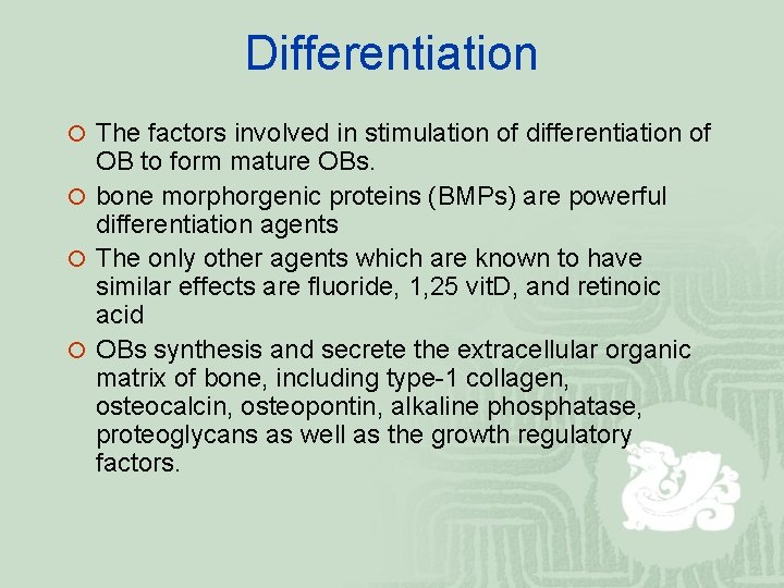 Differentiation ¡ The factors involved in stimulation of differentiation of OB to form mature