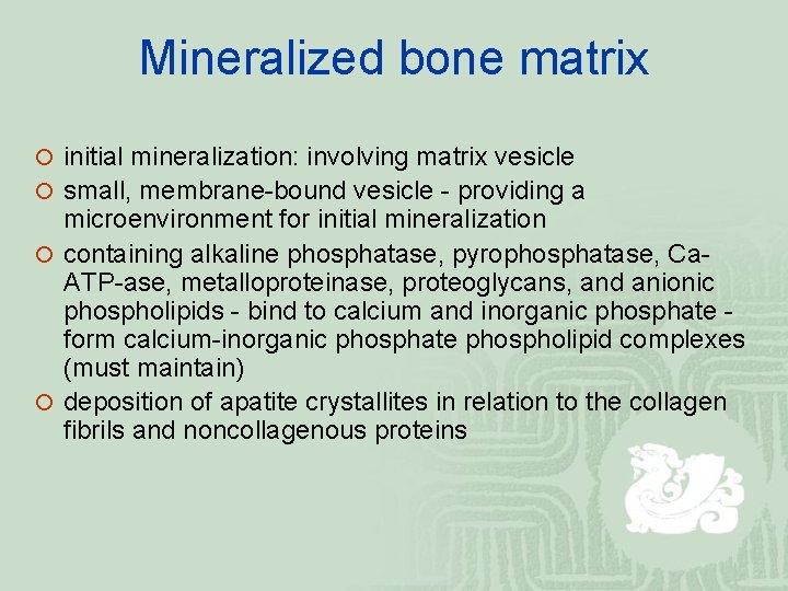 Mineralized bone matrix ¡ initial mineralization: involving matrix vesicle ¡ small, membrane-bound vesicle -