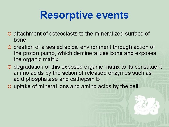 Resorptive events ¡ attachment of osteoclasts to the mineralized surface of bone ¡ creation