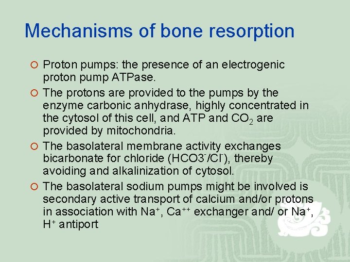Mechanisms of bone resorption ¡ Proton pumps: the presence of an electrogenic proton pump