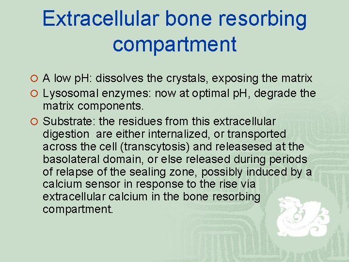 Extracellular bone resorbing compartment ¡ A low p. H: dissolves the crystals, exposing the