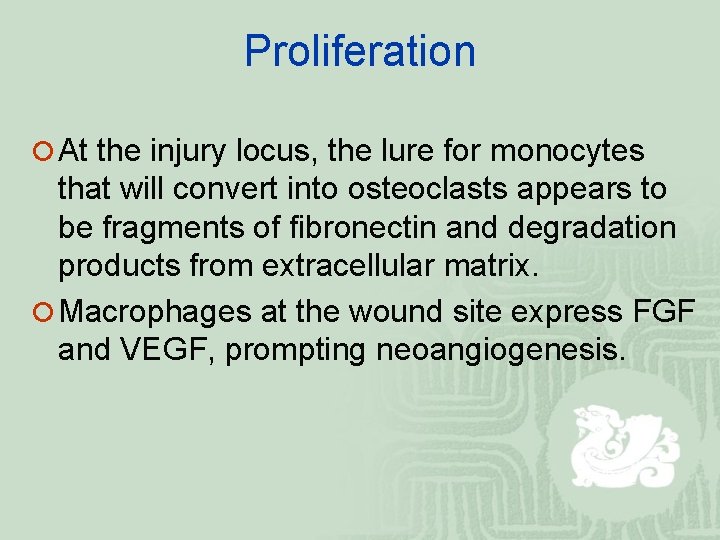 Proliferation ¡ At the injury locus, the lure for monocytes that will convert into