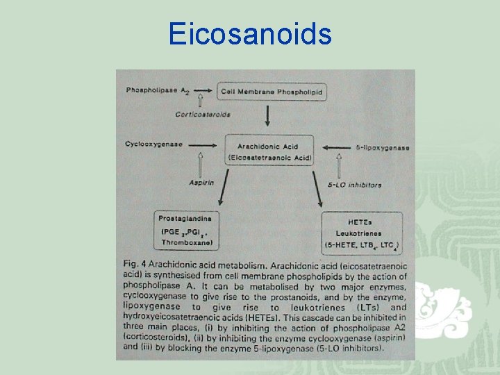 Eicosanoids 