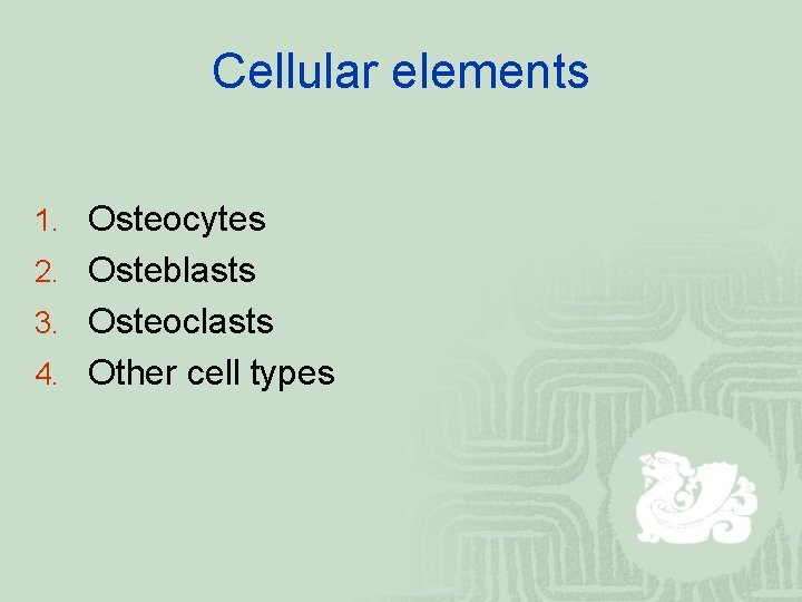 Cellular elements 1. Osteocytes 2. Osteblasts 3. Osteoclasts 4. Other cell types 
