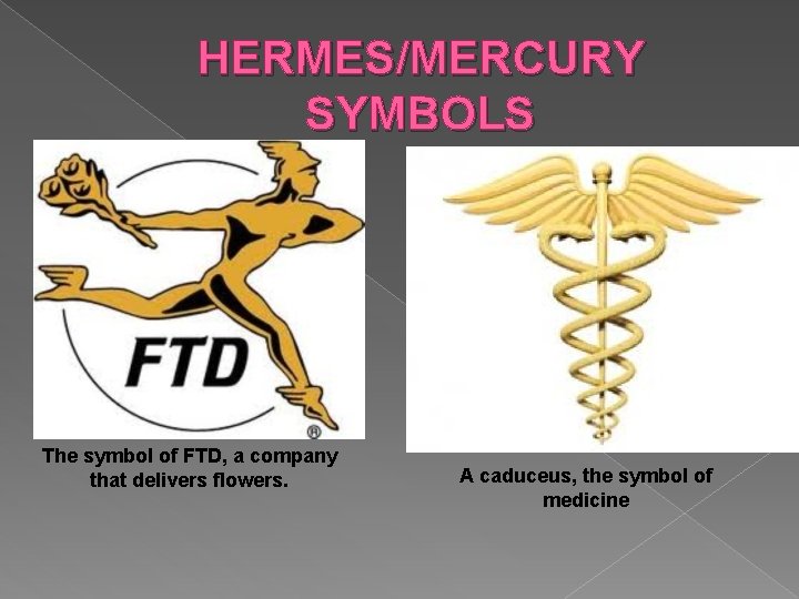HERMES/MERCURY SYMBOLS The symbol of FTD, a company that delivers flowers. A caduceus, the HERMES/MERCURY SYMBOLS The symbol of FTD, a company that delivers flowers. A caduceus, the