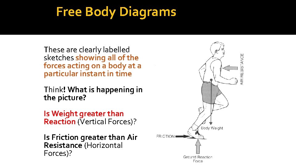 Free Body Diagrams These are clearly labelled sketches showing all of the forces acting