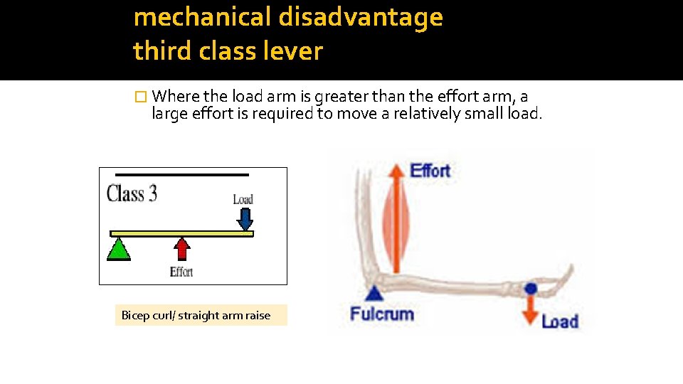 mechanical disadvantage third class lever � Where the load arm is greater than the