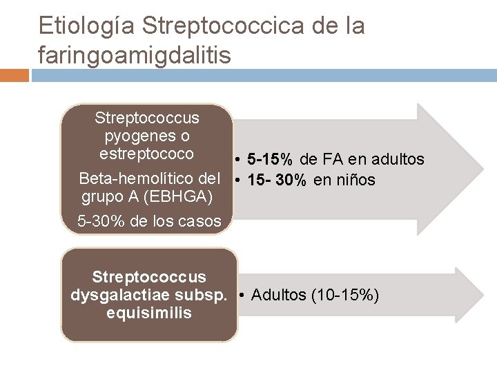 Etiología Streptococcica de la faringoamigdalitis Streptococcus pyogenes o estreptococo • 5 -15% de FA