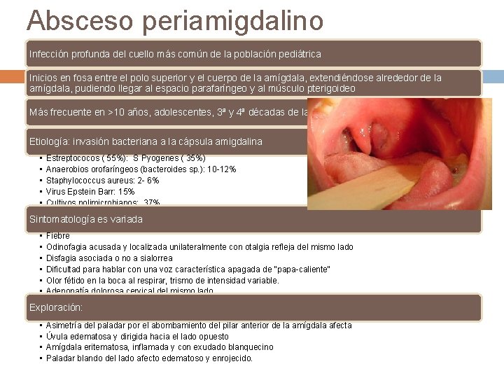 Absceso periamigdalino Infección profunda del cuello más común de la población pediátrica Inicios en