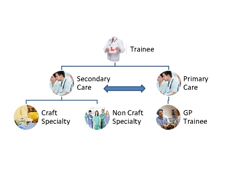 Trainee Secondary Care Craft Specialty Primary Care Non Craft Specialty GP Trainee Trainee Secondary Care Craft Specialty Primary Care Non Craft Specialty GP Trainee