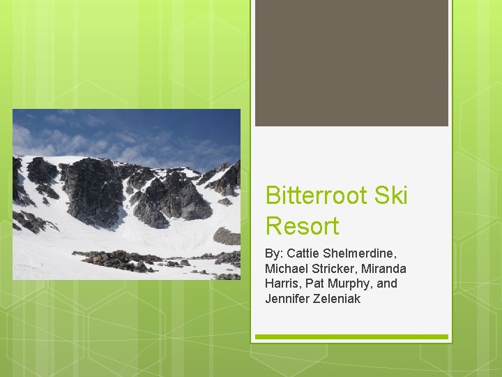 Bitterroot Ski Resort By: Cattie Shelmerdine, Michael Stricker, Miranda Harris, Pat Murphy, and Jennifer