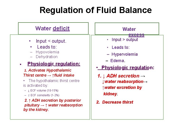 Regulation of Fluid Balance Water deficit • Input < output. • Leads to: –