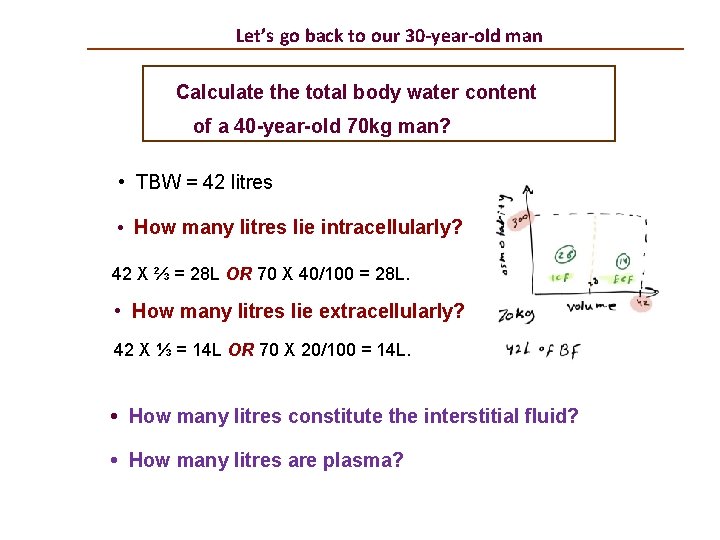 Let’s go back to our 30 -year-old man Calculate the total body water content