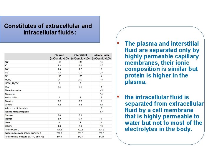 Constitutes of extracellular and intracellular fluids: • The plasma and interstitial fluid are separated