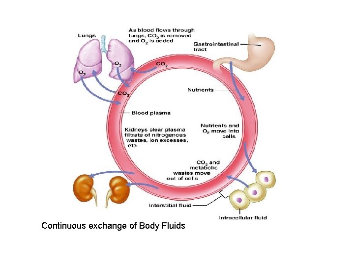 Continuous exchange of Body Fluids 