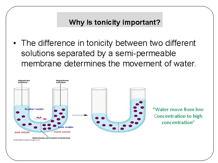 Why Is tonicity important? • The difference in tonicity between two different solutions separated