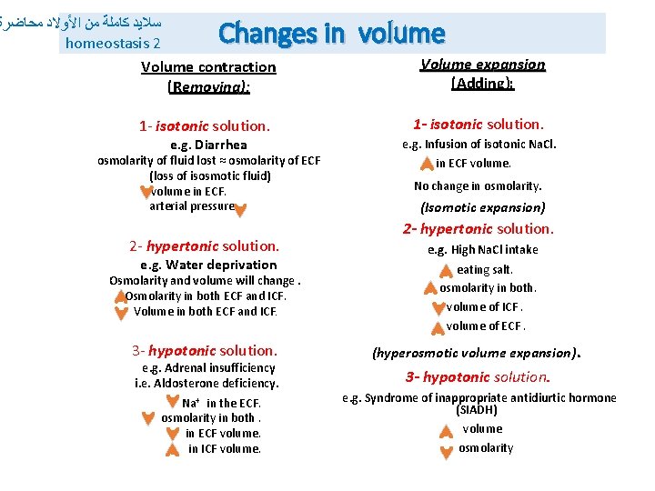 Changes in volume ﺳﻼﻳﺪ ﻛﺎﻣﻠﺔ ﻣﻦ ﺍﻷﻮﻻﺩ ﻣﺤﺎﺿﺮﺓ homeostasis 2 Volume contraction (Removing): 1