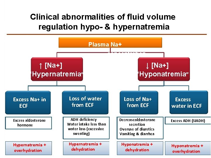 Clinical abnormalities of fluid volume regulation hypo- & hypernatremia Plasma Na+ concentration ↑ [Na+]