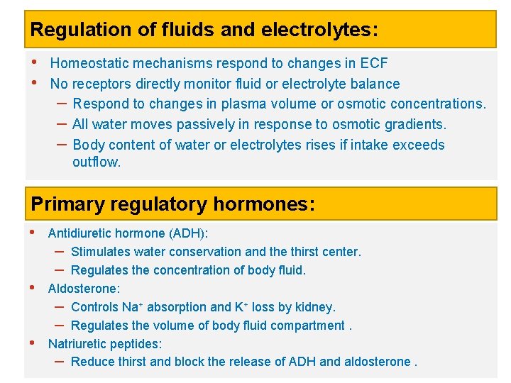 Regulation of fluids and electrolytes: • • Homeostatic mechanisms respond to changes in ECF