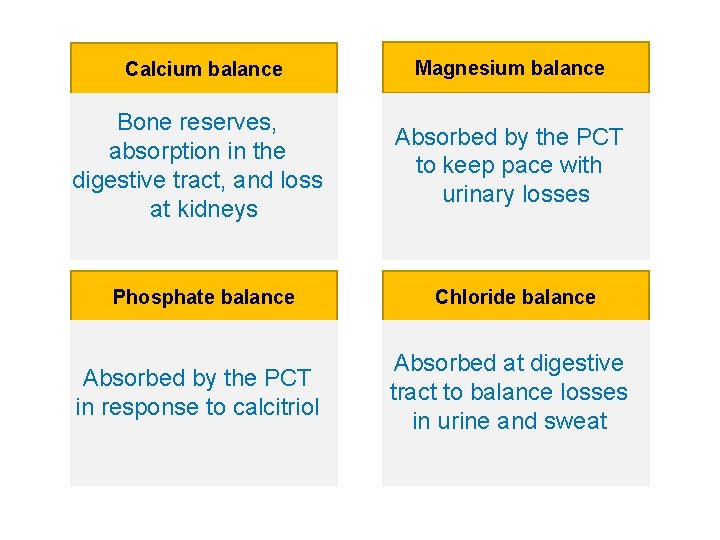 Calcium balance Bone reserves, absorption in the digestive tract, and loss at kidneys Phosphate