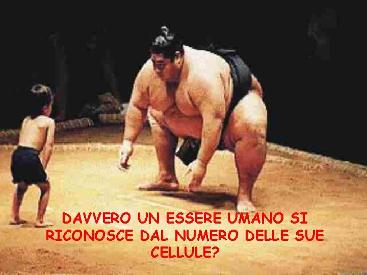 DAVVERO UN ESSERE UMANO SI RICONOSCE DAL NUMERO DELLE SUE CELLULE? 