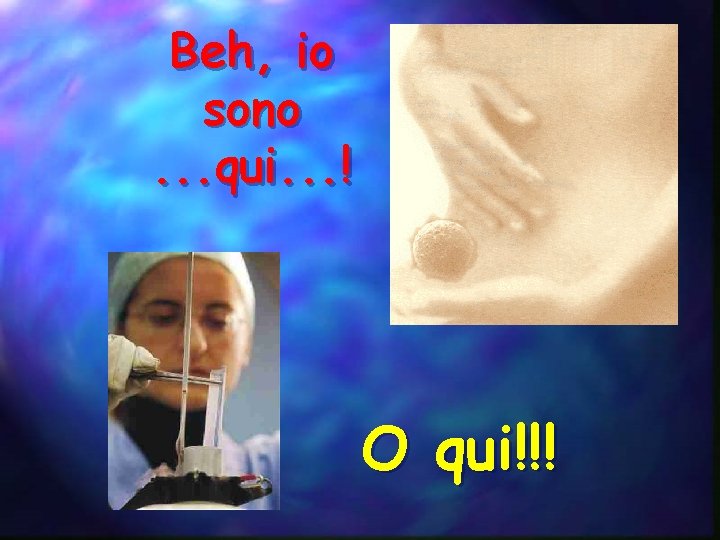 Beh, io sono. . . qui. . . ! O qui!!! 