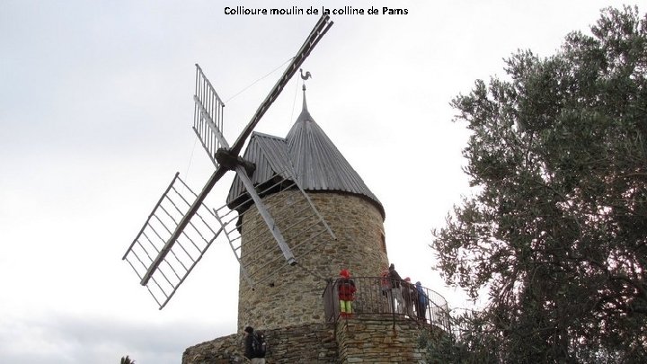 Collioure moulin de la colline de Pams 