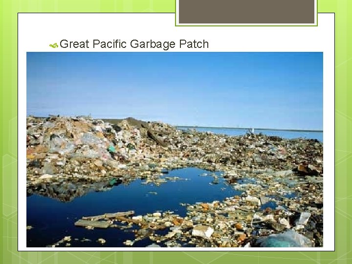  Great Pacific Garbage Patch 
