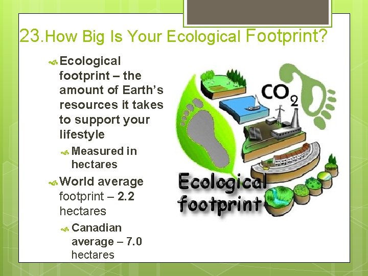 23. How Big Is Your Ecological Footprint? Ecological footprint – the amount of Earth’s