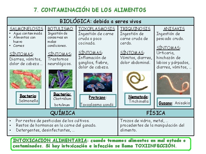 7. CONTAMINACIÓN DE LOS ALIMENTOS BIOLÓGICA: debida a seres vivos SALMONELOSIS • Agua contaminada