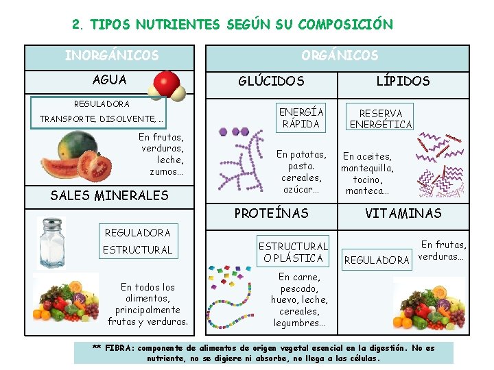 2. TIPOS NUTRIENTES SEGÚN SU COMPOSICIÓN INORGÁNICOS AGUA ORGÁNICOS GLÚCIDOS REGULADORA TRANSPORTE, DISOLVENTE, …