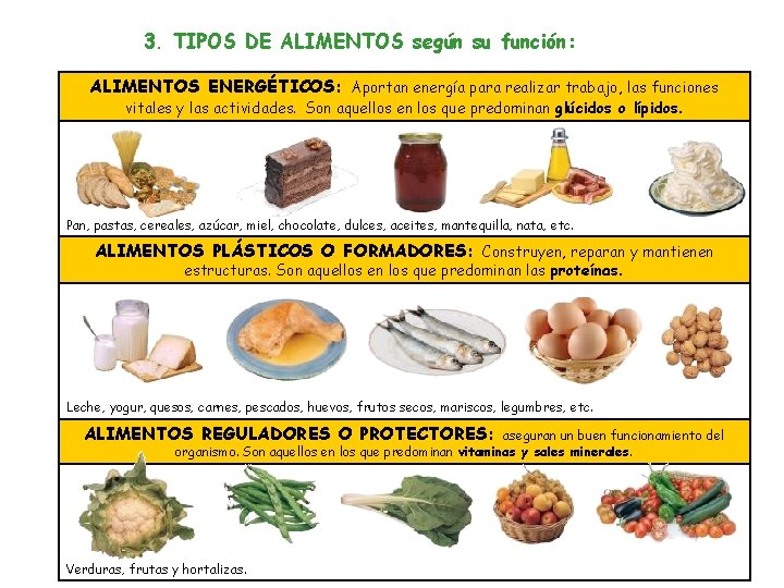 3. TIPOS DE ALIMENTOS según su función: ALIMENTOS ENERGÉTICOS: Aportan energía para realizar trabajo,