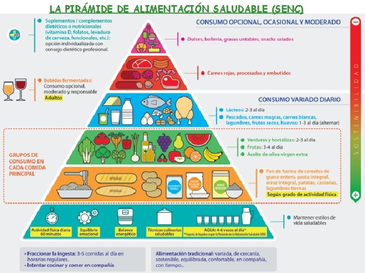 LA PIRÁMIDE DE ALIMENTACIÓN SALUDABLE (SENC) 