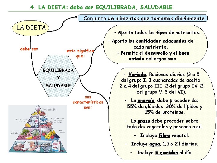 4. LA DIETA: debe ser EQUILIBRADA, SALUDABLE Conjunto de alimentos que tomamos diariamente LA