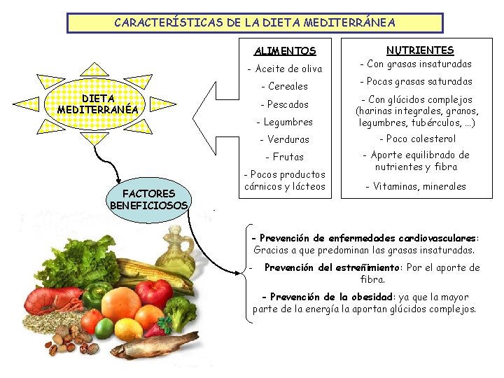 CARACTERÍSTICAS DE LA DIETA MEDITERRÁNEA ALIMENTOS - Aceite de oliva - Cereales DIETA MEDITERRANÉA
