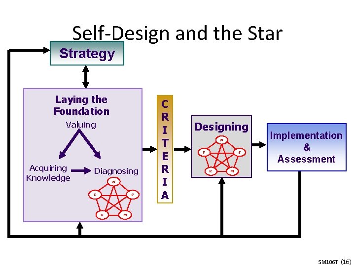 Self-Design and the Star Strategy Laying the Foundation Valuing Acquiring Knowledge Diagnosing W P