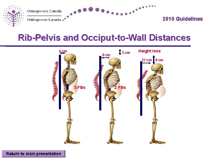 2010 Guidelines Rib-Pelvis and Occiput-to-Wall Distances 4 cm 8 cm 3 cm Height loss