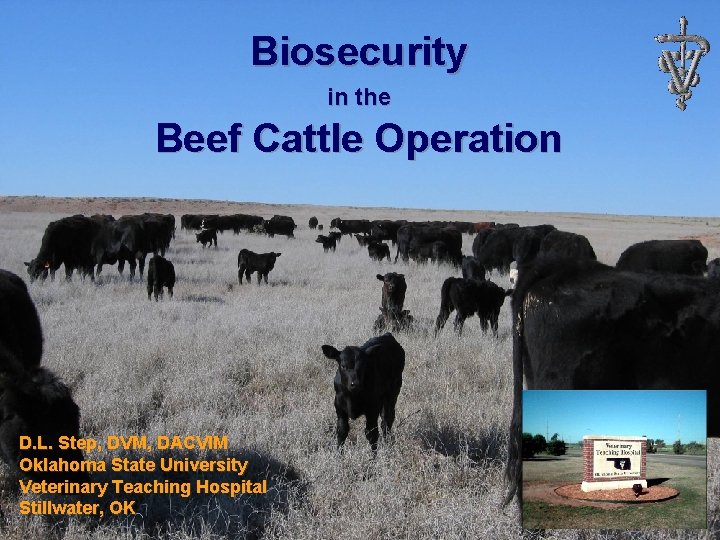 Biosecurity in the Beef Cattle Operation D. L. Step, DVM, DACVIM Oklahoma State University