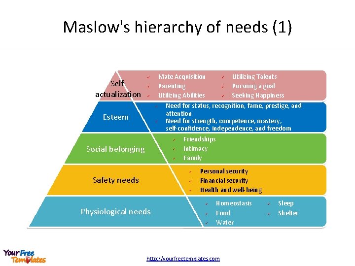 Maslow's hierarchy of needs (1) Selfactualization Mate Acquisition Parenting Utilizing Abilities ü ü Esteem