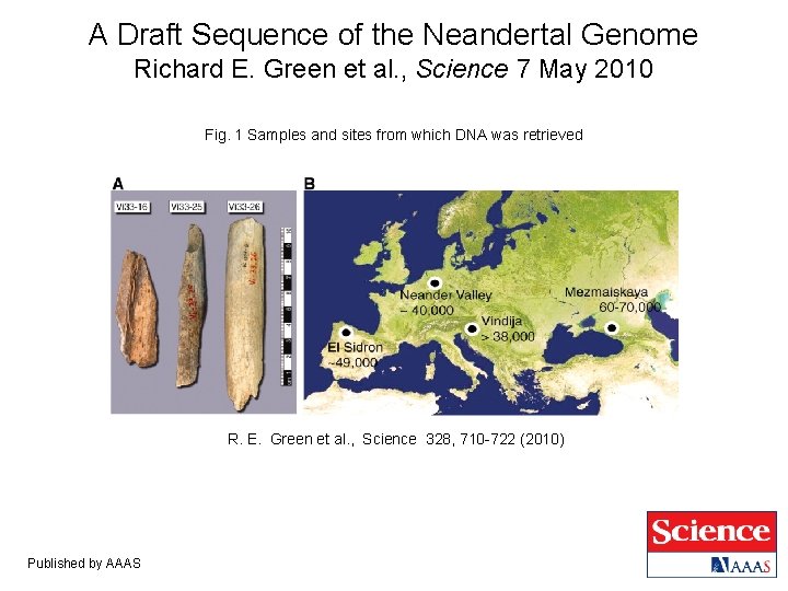 A Draft Sequence of the Neandertal Genome Richard E. Green et al. , Science